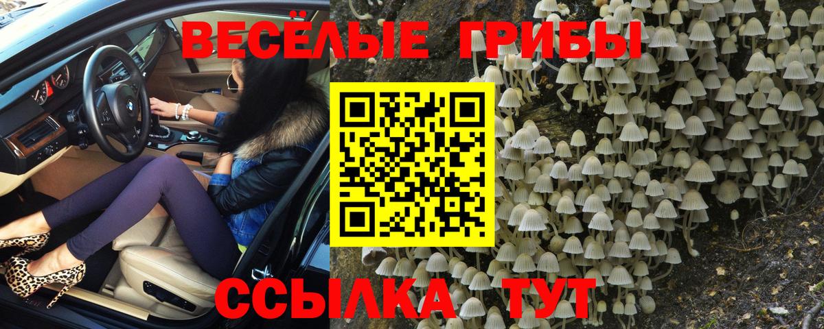 Псилоцибиновые грибы Psilocybe  Вход с VPN  Амурск 